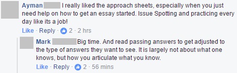 help me write powerpoint presentation Platinum 48 pages Proofreading