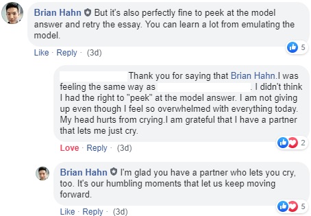 It's perfectly fine to peek at the model answer and retry the essay. You can learn a lot from emulating the model.